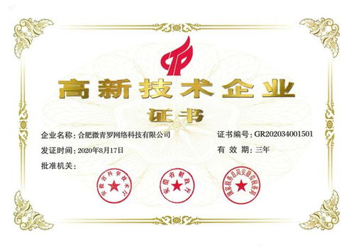 喜报 新青罗入选合肥市2021年度高成长企业，技术服务领域再创佳绩